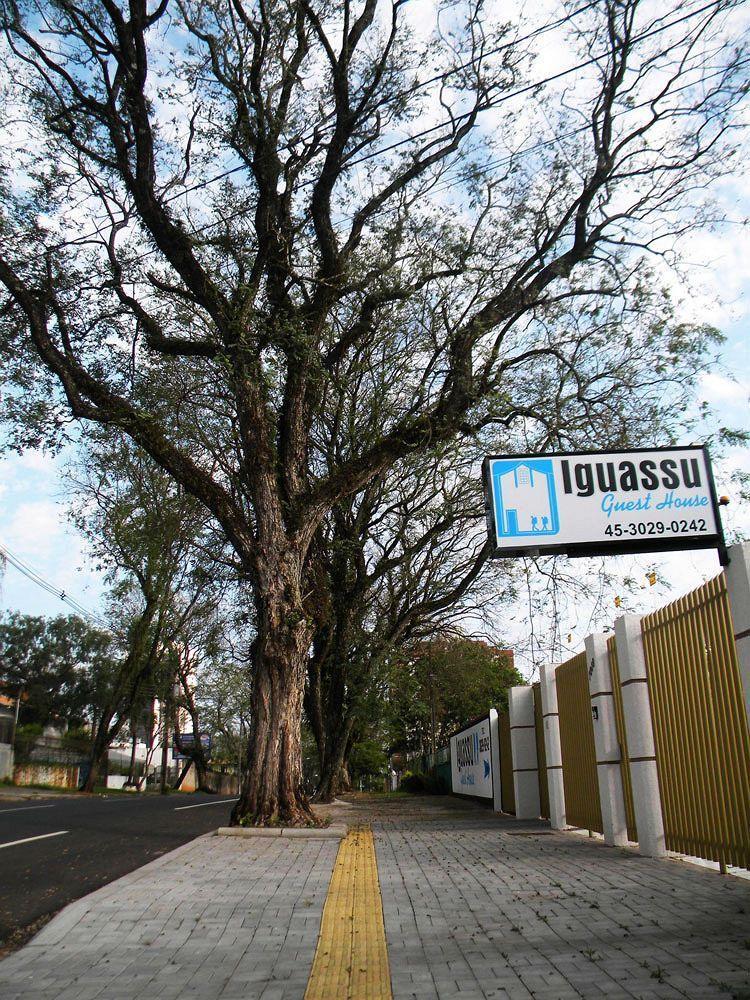 Iguassu Guest House Φοζ ντο Ιγκουασού Εξωτερικό φωτογραφία